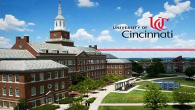 University of Cincinnati Acceptance Rate