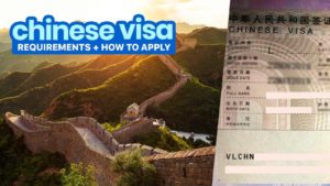 Chinse Visa Application 