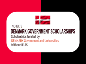 Government of Denmark Scholarship