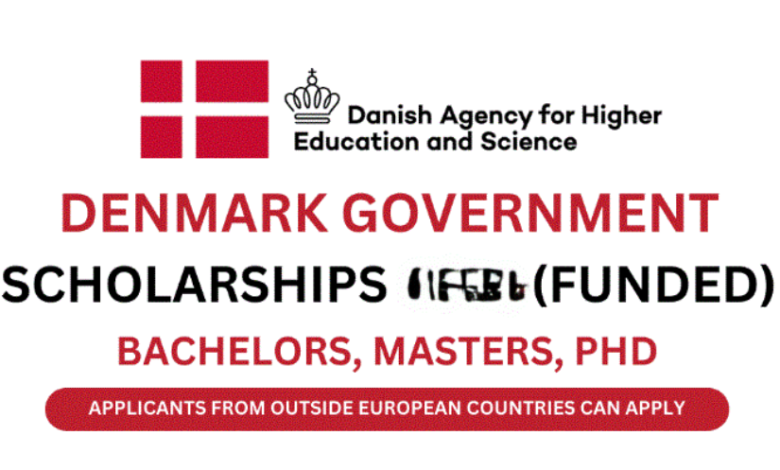 Government of Denmark Scholarship